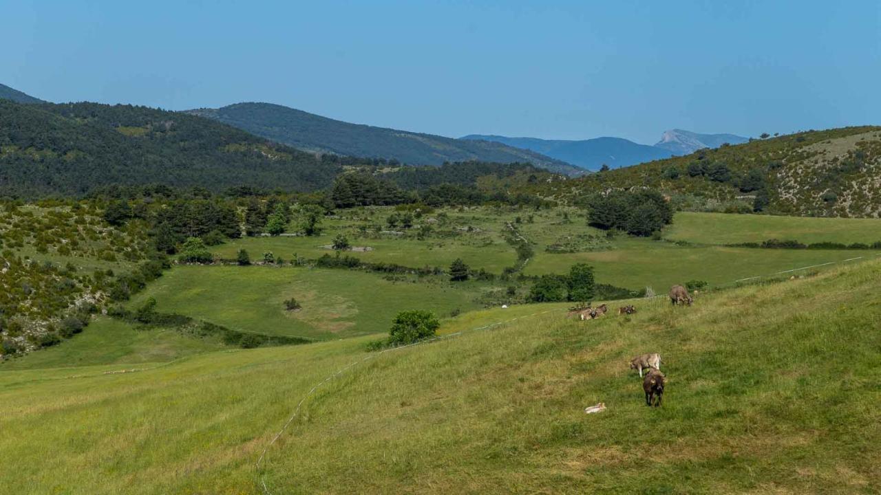 Eco-Apartaments Cal Rossa De Taus Kültér fotó
